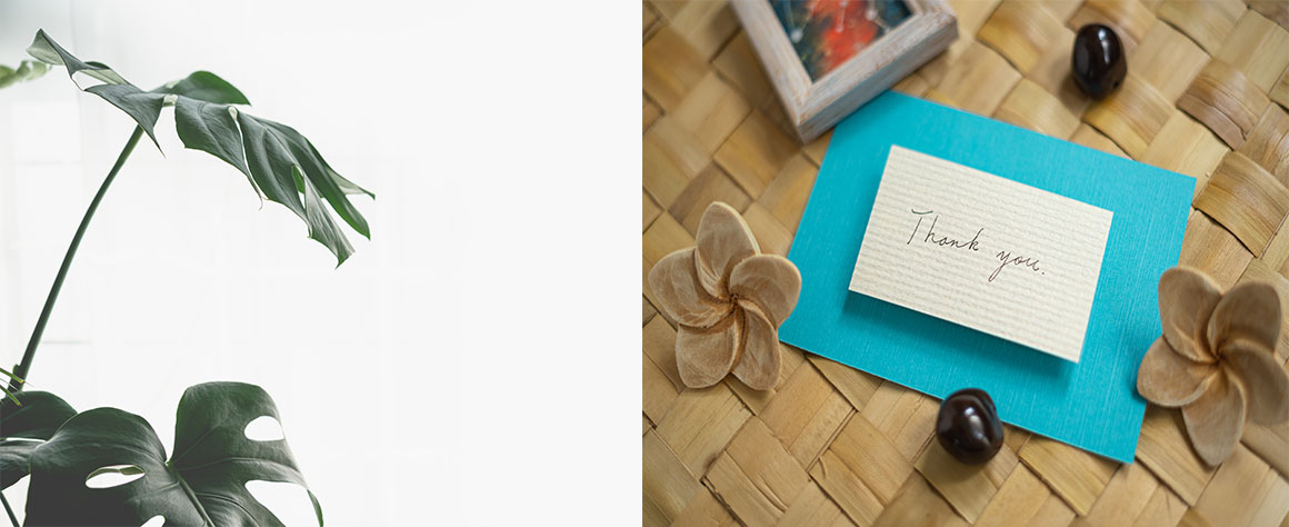 thank you メッセージの写真